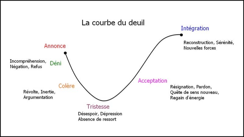 Courbe du deuil