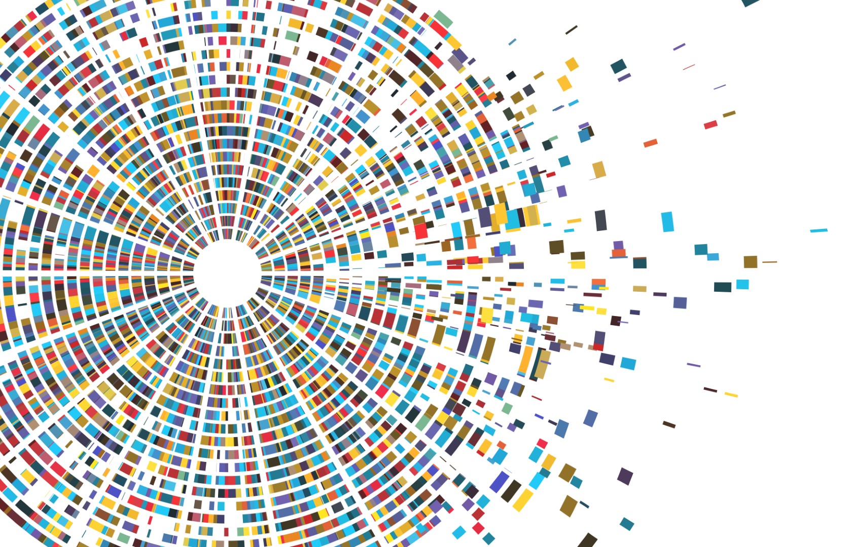 Data Profiling